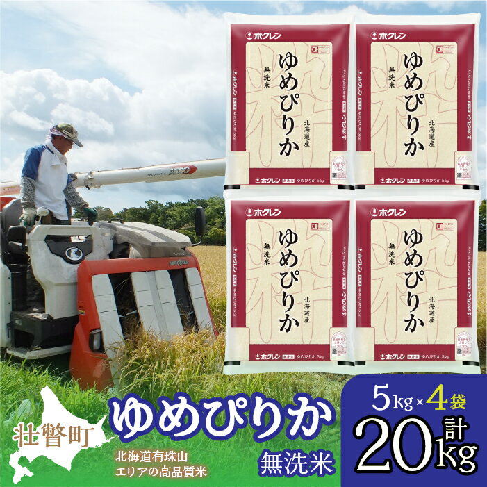 【ふるさと納税】【令和7年産】（無洗米20kg）ホクレンゆめぴりか（無洗米5kg×4袋） 【 ふるさと納税 人気 おすすめ ランキング 北海道産 壮瞥 無洗米 米 白米 ゆめぴりか こめ 贈り物 贈物 贈答 詰合せ セット 北海道 壮瞥町 送料無料 】 SBTD067