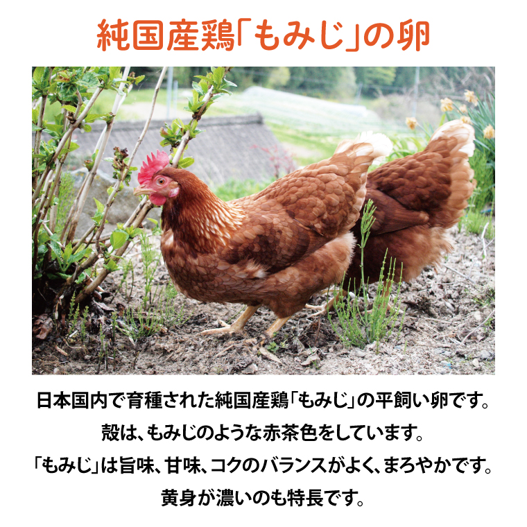 【純国産鶏もみじ】平飼い卵30個入り (破損保証5個含む)【3ヶ月連続お届け】 (AJ006-2)