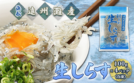 しらす 100g 4パック 魚貝類 海の幸 海鮮 しらす
