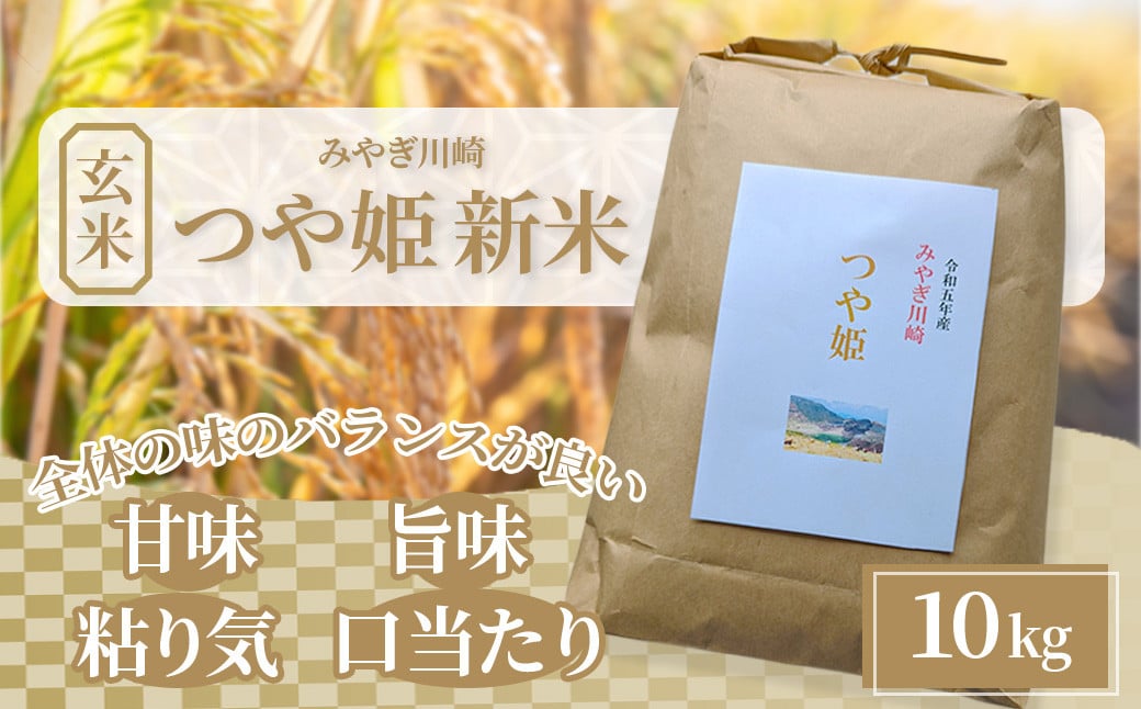 
【令和6年産】みやぎ川崎産　つや姫新米（玄米）　10kg　【04324-0267】
