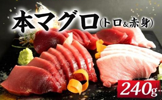 プレミア和歌山認証品 本マグロ（養殖）トロ＆赤身セット　240g 303446_BA1001