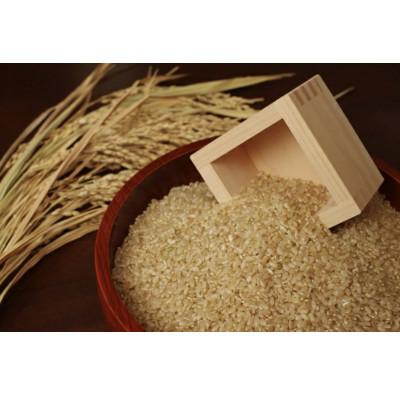 ふるさと納税 西脇市 【毎月定期便】兵庫県産 コシヒカリ(玄米) 10kg全3回 |  | 01