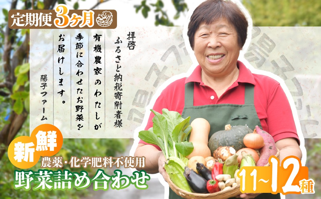 
            ＜3ヵ月定期便＞旬の野菜詰め合わせ11種~12種 | 野菜 定期便 季節の野菜 旬の野菜 新鮮野菜 産地直送 栽培期間中農薬不使用 有機 オーガニック フレッシュ セット 詰め合わせ サラダ 料理 炒め物 煮物 スムージー 旬 おいしい 安全 安心 お取り寄せ ギフト おすすめ 3回 6回 12回 世界農業遺産 埼玉県 所沢市
          