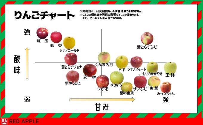 りんご【 9月 クール便発送 】 家庭用 つがる 約 10kg 【 弘前市産 青森りんご 】 REDAPPLE 青森県産 早生りんご