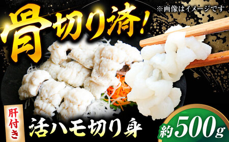 【先行予約】【2025年5月上旬から順次発送】活きハモの骨切り 2人前（約500g） 愛媛県大洲市/天然活魚 濱 屋 [AGBP006] ハモ 鱧 はも 魚介類 海鮮