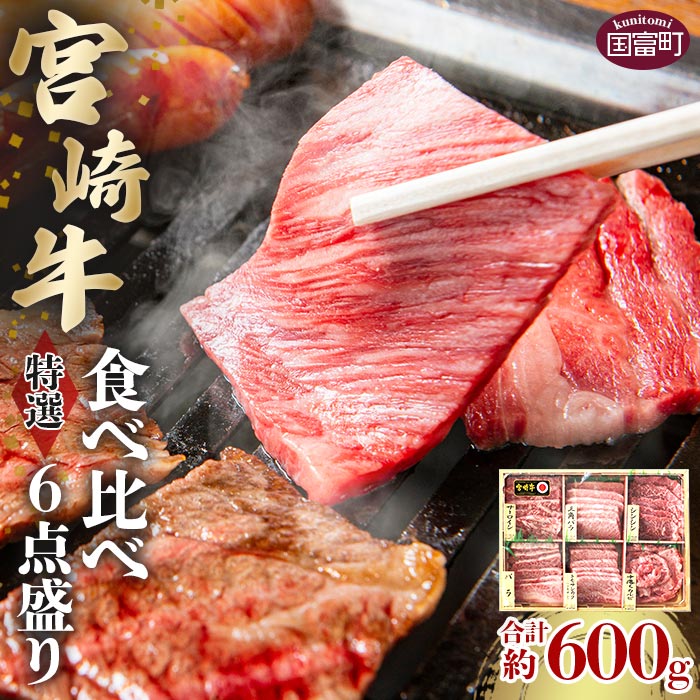 【ふるさと納税】＜宮崎牛特選食べ比べ6点盛り 合計約600g (約100g×6種)＞※入金確認後、2か月以内に順次出荷します。 牛肉 和牛 黒毛和牛 お肉 赤身 希少部位 ロース カルビ 霜降り 株式会社SHINGAKI 国富店 宮崎県 国富町 0504_sh【冷凍】