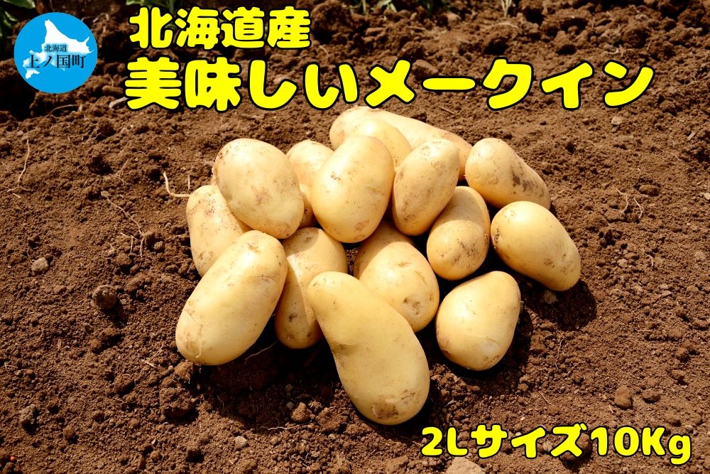【2025年発送】北海道上ノ国町 おいしい馬鈴薯「メークイン」　2Lサイズ×10㎏