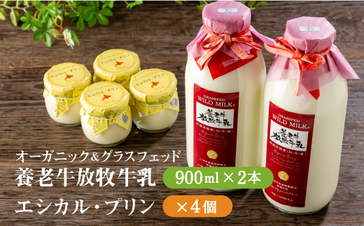 オーガニック＆グラスフェッド養老牛放牧牛乳900ml×2本 エシカル・プリン4個 牛乳 ミルク プリン 乳製品 乳飲料 有機JAS認証 おいしい牛乳 低温殺菌 高栄養 朝食 スイーツ ふるさと納税 北海道 中標津町 中標津【1301201】