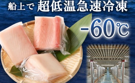 厳選 トロビンチョウ 鮪 ５００ｇ 以上 ビンチョウマグロ 天然 鮪 冷凍 海鮮 丼 _ge014