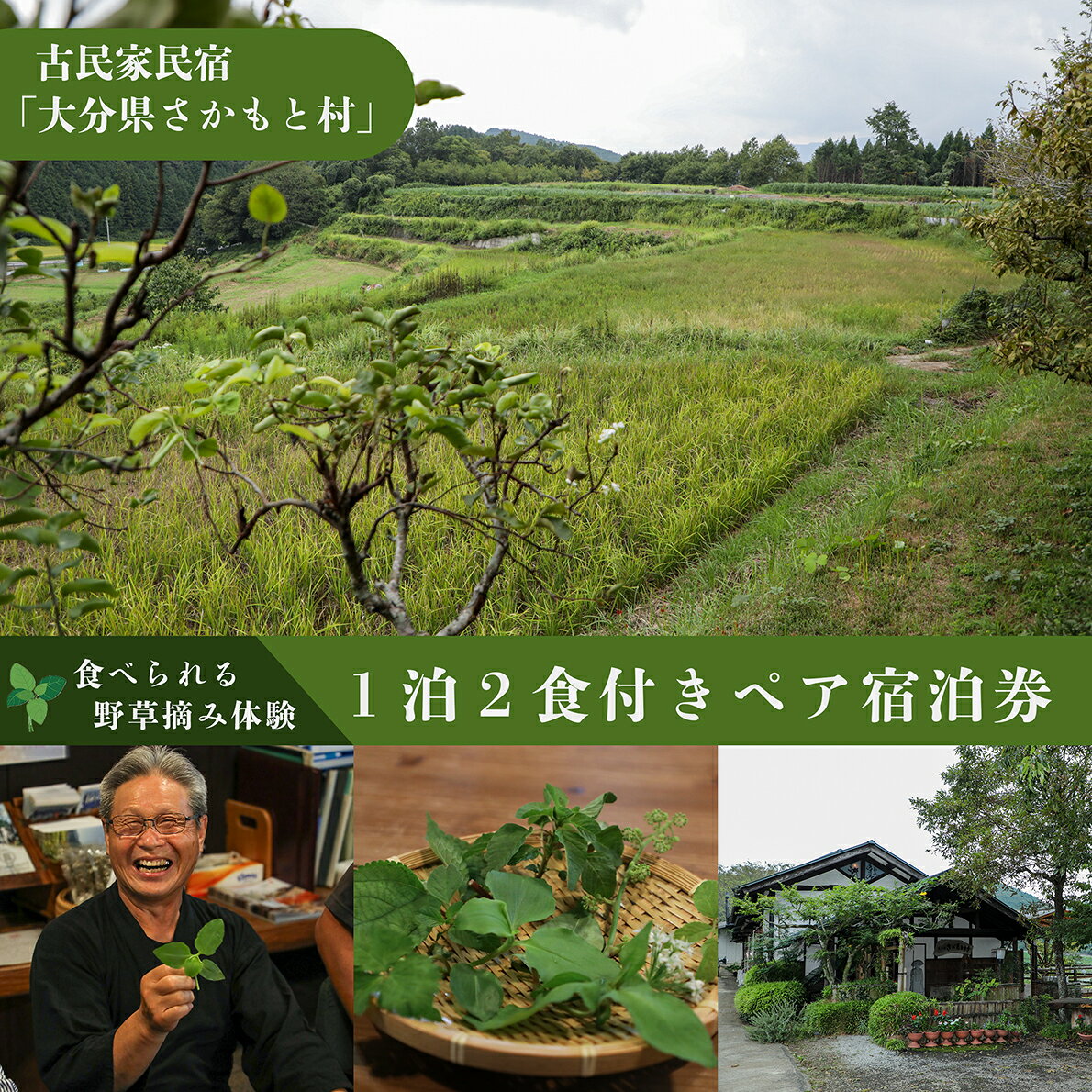 【ふるさと納税】 大分県さかもと村ペア1泊2日&食べられる野草摘み体験 大分県 さかもと村 ペア 1泊2日 体験 宿泊 夕食 朝食 古民家 野草摘み 野草 天ぷら 自家製野菜 創作料理
