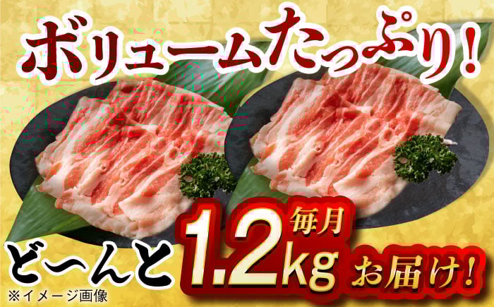 肉 豚 ぶた ブタ 豚バラ しゃぶしゃぶ 小分け 西海市 長崎 九州 定期便