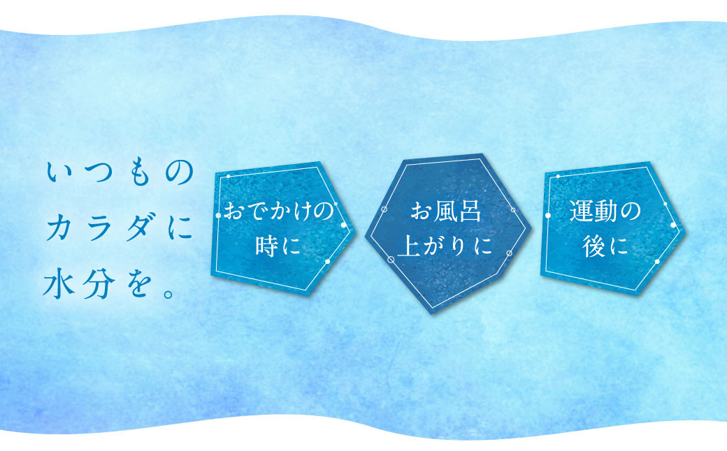 【12ヶ月定期便】なめらかつややかしっとり天然水 500mlPET 24本×2ケース 飲料 水