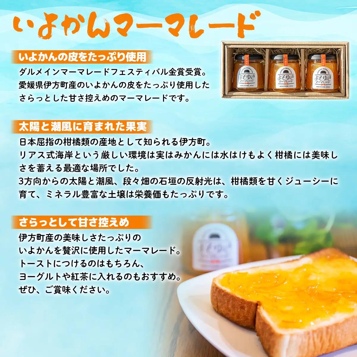 いよかんマーマレード「よそゆき」3点セット【ダルメインマーマレードフェスティバル金賞受賞】※離島への配送不可 【ふるさと納税 人気 おすすめ ランキング マーマレード いよかん 伊予柑 みかん ミカン