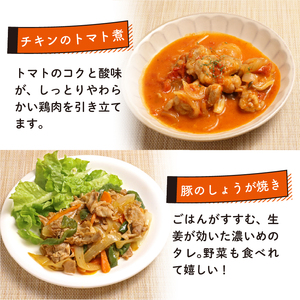 簡単調理 冷凍 おかずセット 16食 ( 8種 × 各2食 ) 惣菜 おかずおかずおかず おかずおかずおかず