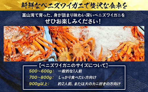 【冷蔵・ボイル済】魚卸問屋のベニズワイガニ 500～600g 3杯 セット【三人前】｜はりたや 魚貝類 魚介類 海鮮 蟹 カニ かに 紅ズワイガニ ずわい蟹 濃厚かにみそ 蟹しゃぶ 蟹飯 人気 豪華 