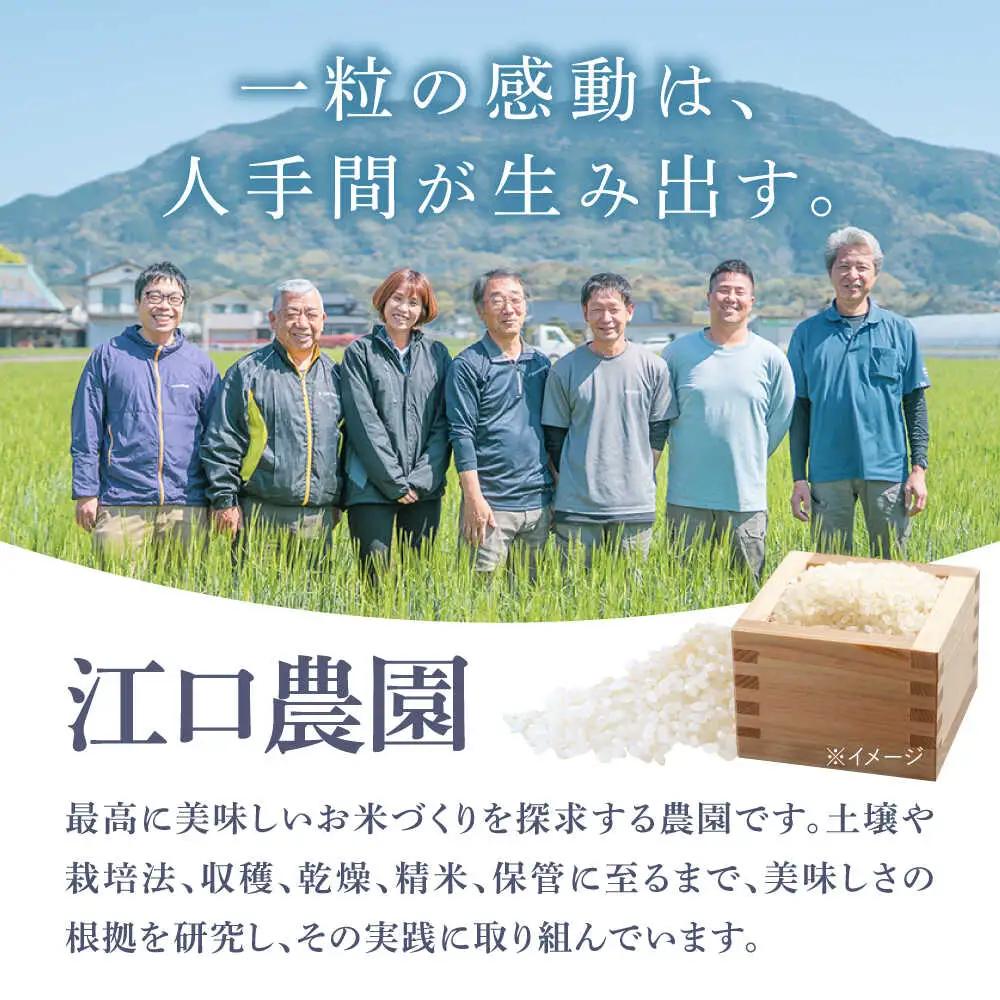 さがびより 白米 2kg /江口農園[UBF011] 白米