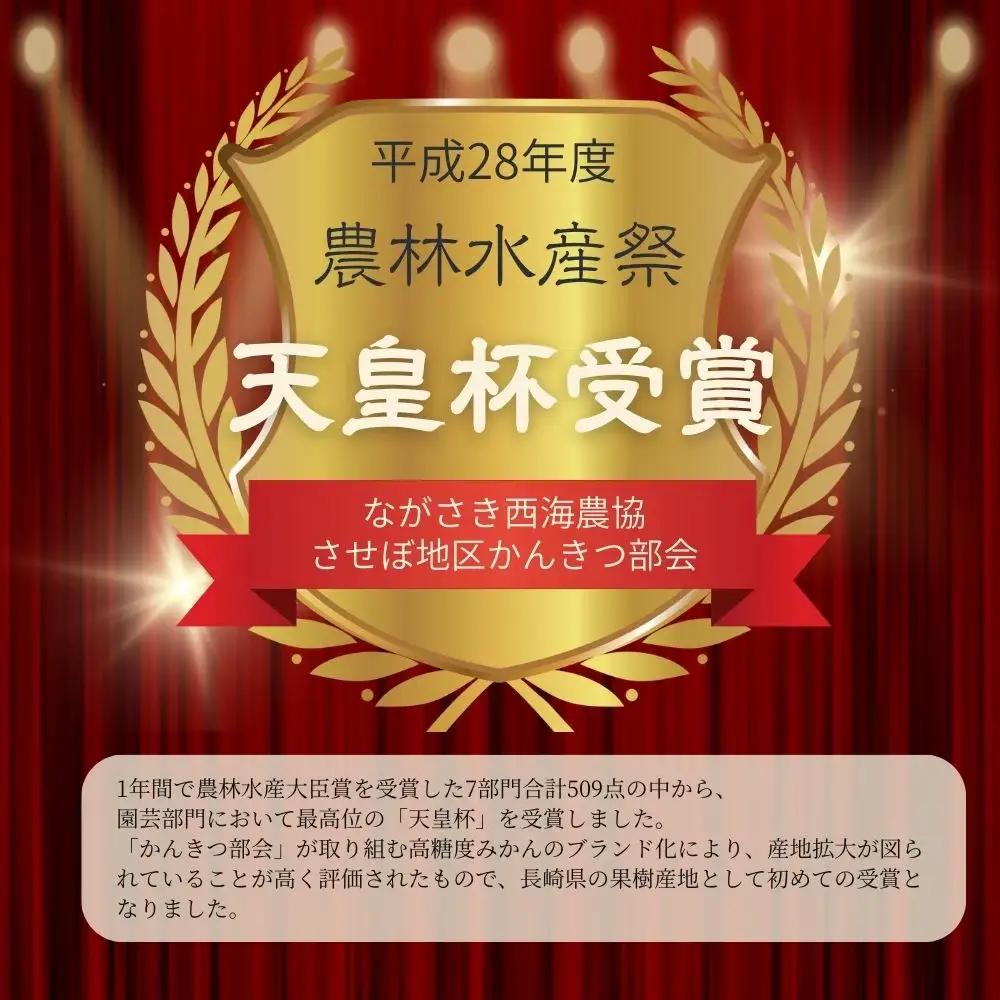 【 早期受付 】西海みかん 味まる 5kg 糖度12度以上 ブランドみかん 佐世保 【 12月発送 】