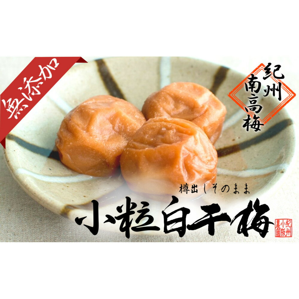 【ふるさと納税】無添加 白干梅（小粒800g）紀州南高梅【梅農家厳選　手づくり梅干】