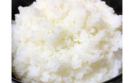 新潟越後 自然栽培米コシヒカリ 5kg 令和7年産米 2025年産米 数量限定 新米こしひかり 有機JAS認証【017S060】