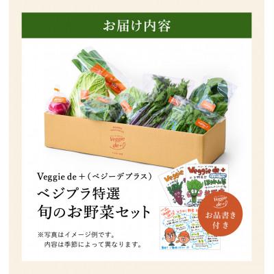 ふるさと納税 豊岡市 旬の新鮮なお野菜を産地直送!ベジプラ特選 旬の野菜セット |  | 02