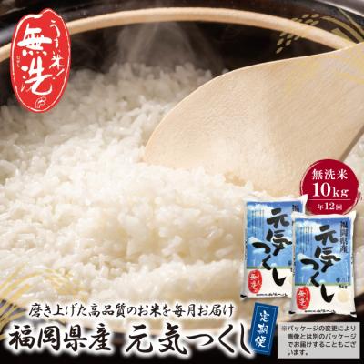 ふるさと納税 福智町 無洗米 福岡県産・元気つくし10kg定期便(毎月・年12回)