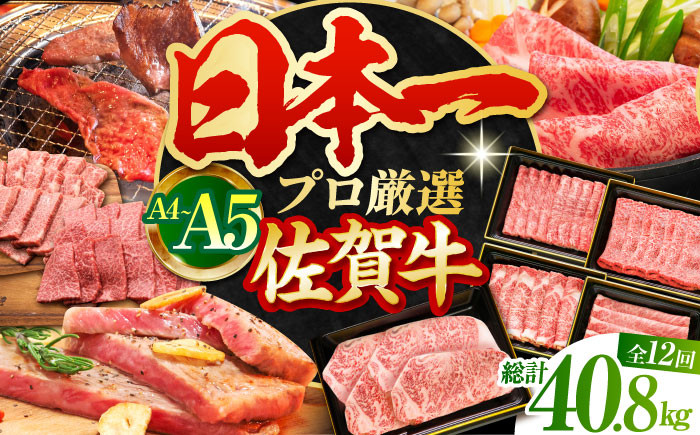 
            【全12回定期便】佐賀牛 大満喫定期便【田中畜産牛肉店】 [HBH043] 黒毛和牛 牛肉 肉 定期 赤身 ロース スライス 焼肉
          