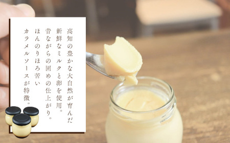 ほろ苦カラメル 贅沢 濃厚 大人 の カスタードプリン 瓶詰め 4個 昔ながらのプリン 手作り 濃厚プリン なめらかプリン ふるさと納税プリン スイーツ デザート お菓子 洋菓子 冷凍スイーツ 固めプ