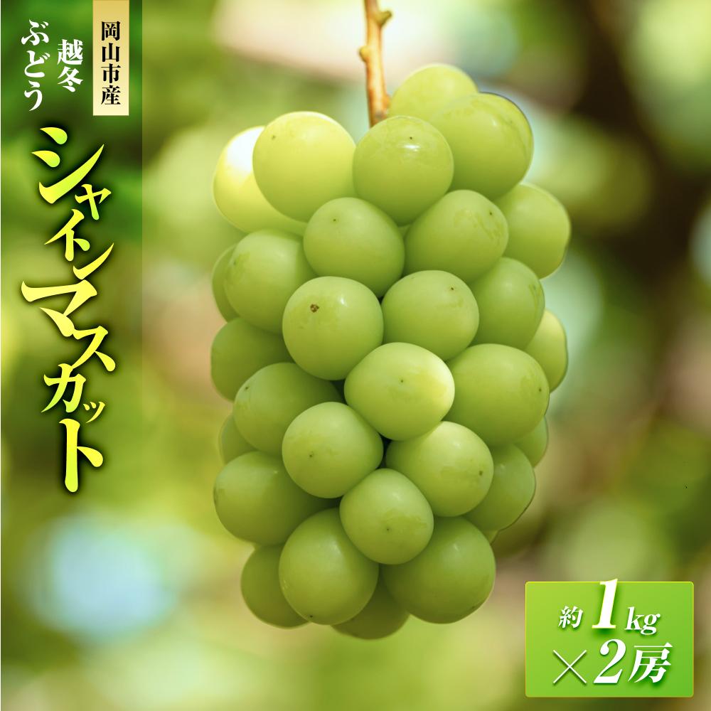 【ふるさと納税】五果苑 越冬ぶどう シャインマスカット 2房（1房約1.0kg） | フルーツ 果物 くだもの 食品 人気 おすすめ 送料無料
