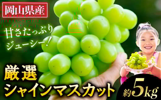 シャインマスカット 【2026年出荷先行予約】 厳選 シャインマスカット 約5kg 《2026年9月上旬-11月中旬頃に出荷予定》 シャインマスカット マスカット 厳選 5kg シャインマスカット