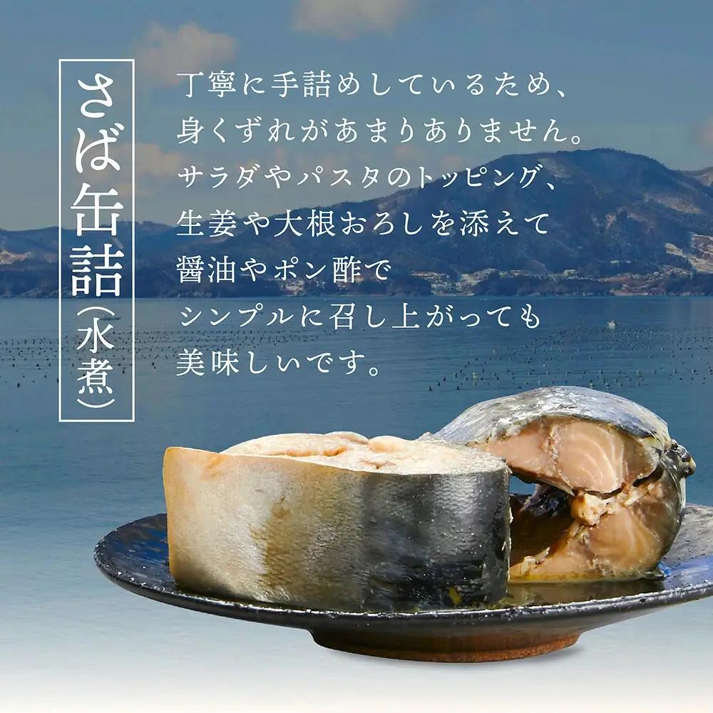 無添加 サバ缶詰水煮 180g×12缶 さば缶