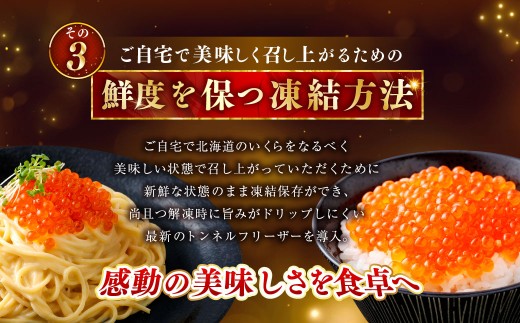 【5営業日以内発送】いくら 500g × 2箱 合計1kg 魚卵 醤油漬け 冷凍 海産物 魚介類 ご飯のお供 海鮮 海鮮丼 国産 北海道産 いくら醤油漬