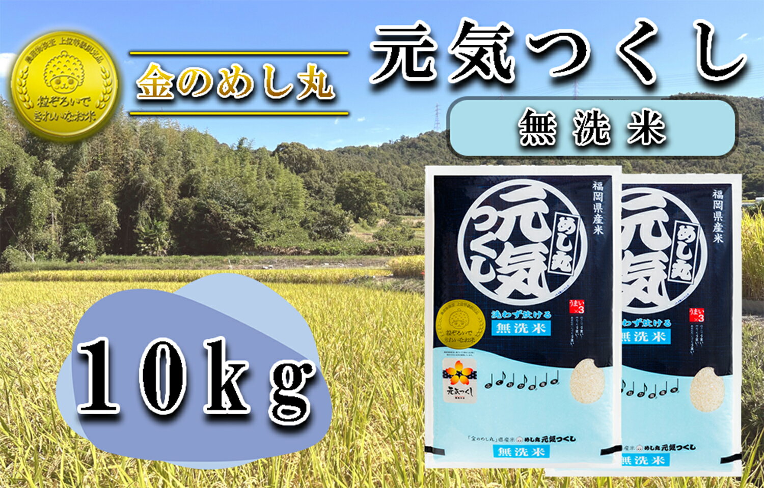 【ふるさと納税】【無洗米】金のめし丸元気つくし 10Kg（2袋）_CE-066