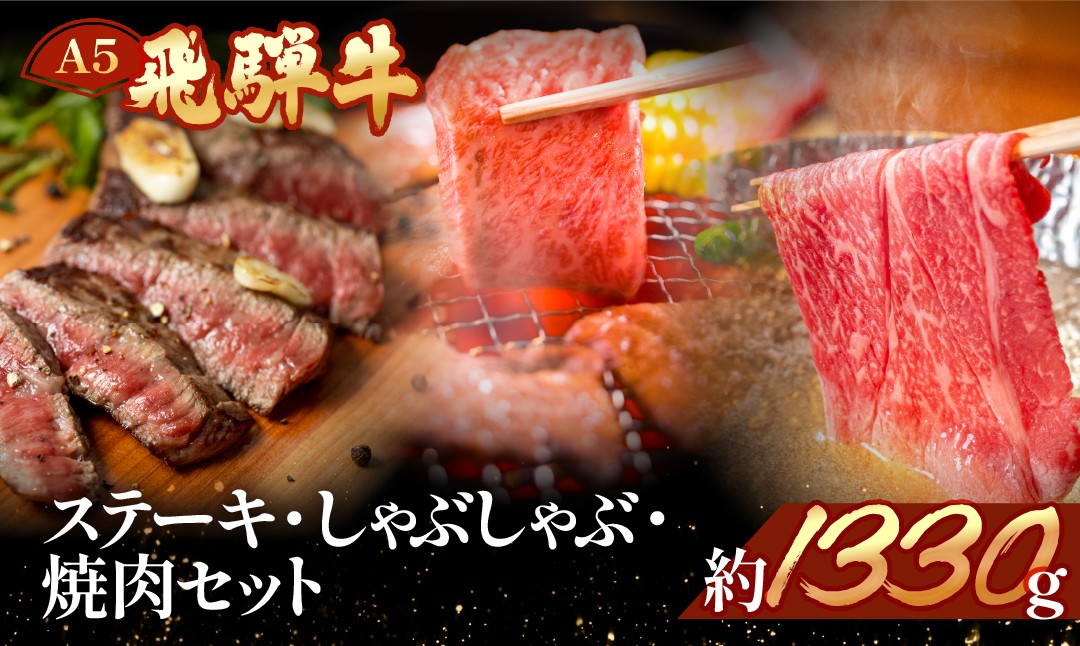 
            飛騨牛を味わいつくす!!ステーキ・しゃぶしゃぶ・焼肉セット【ヒレ約230g(2枚)/サーロイン約180g(1枚)/リブロース460g/本日の希少部位460g】【冷凍】食べ比べ 飛騨牛 牛 天狗 高級 おすすめ 
          