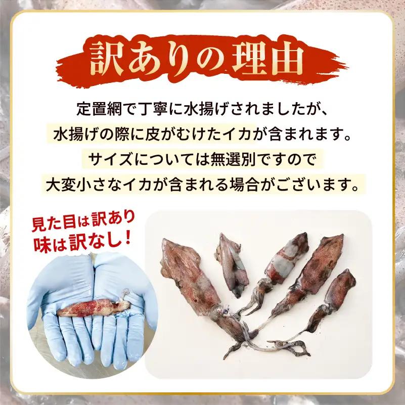 【ふるさと納税】【急速冷凍】【訳あり】生いか 天然ケンサキイカ サイズ無選別 1kg（500g × 2袋） [e15-a062]