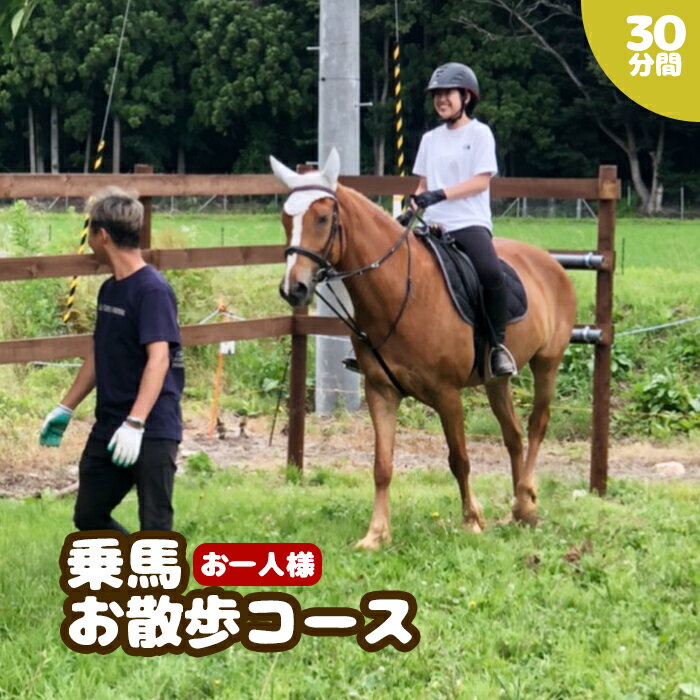 【ふるさと納税】乗馬お散歩コース【5300101】
