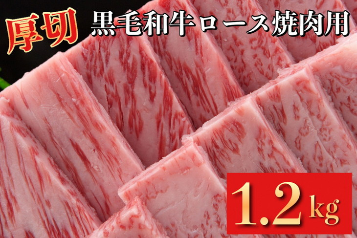 
牛ロース 厚切り 焼肉用 京都府産 黒毛和牛 豪華2段重 600g×2 計1.2kg【たれ付】《急速冷凍 真空パック 贈答 プレゼント ギフト》
