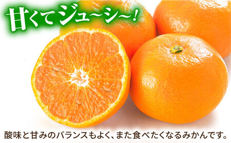 【厳しい基準をクリアしたみかん】 佐賀みかん （さが美人）5kg 【JAさが 杵島支所】[HAM086] みかん 佐賀 温州みかん さがみかん ミカン 蜜柑