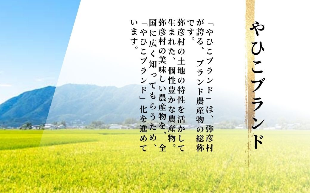 米 30kg 新潟 コシヒカリ 特別栽培米 伊彌彦米 30kg(5kg×6袋) 