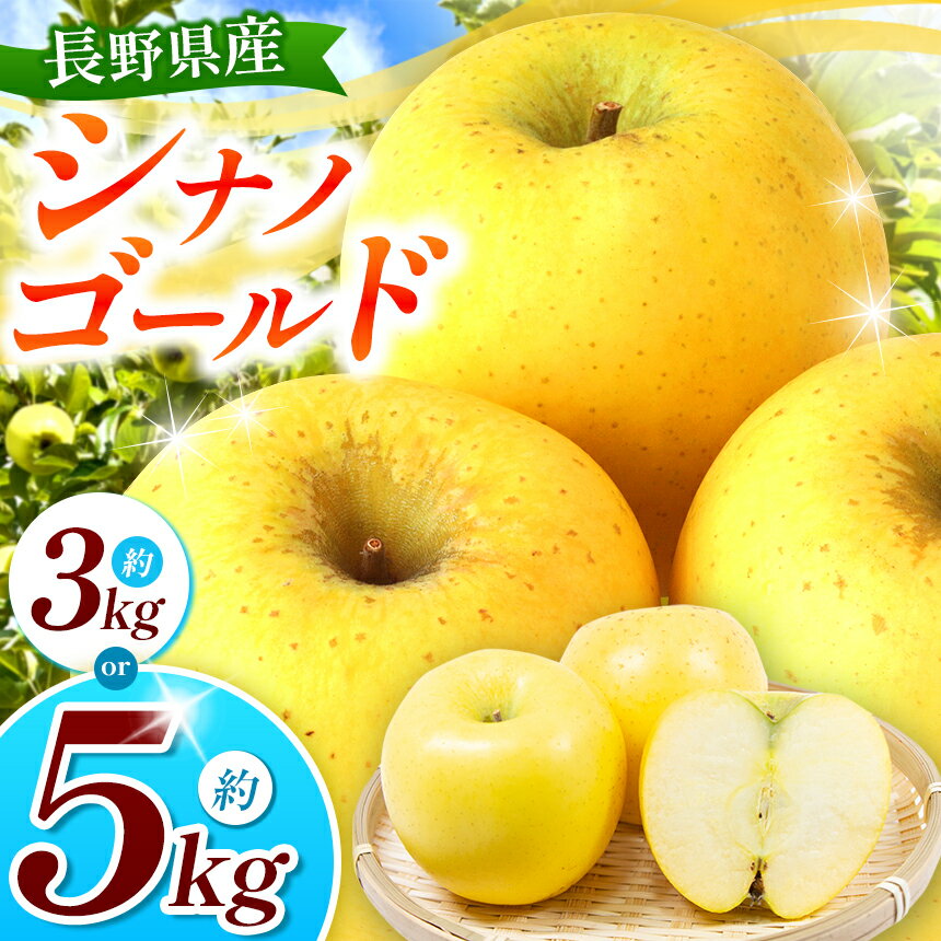 【ふるさと納税】【2025年先行予約】浅野農園 シナノゴールド 3kg ・ 5kg｜ リンゴ りんご 林檎 果物 くだもの フルーツ 果実 果汁 シナノゴールド 長野県 松川村 信州