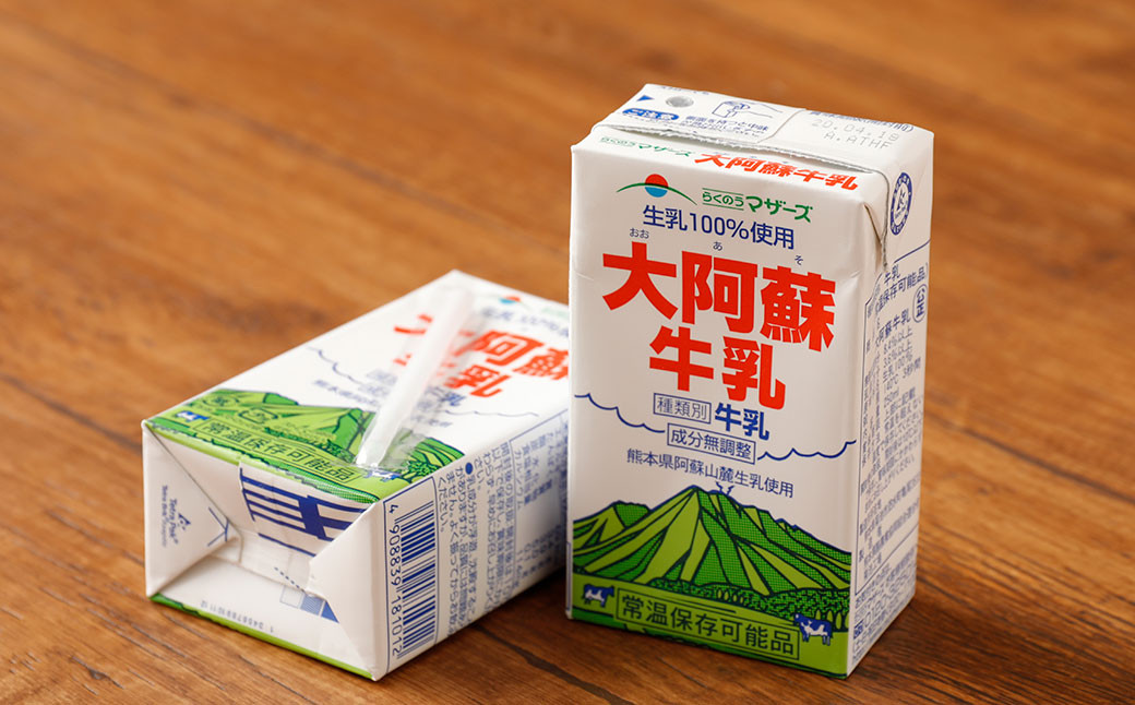 【12ヶ月定期便】大阿蘇 牛乳 250ml×24本×12回 合計72L 紙パック ミルク 成分無調整