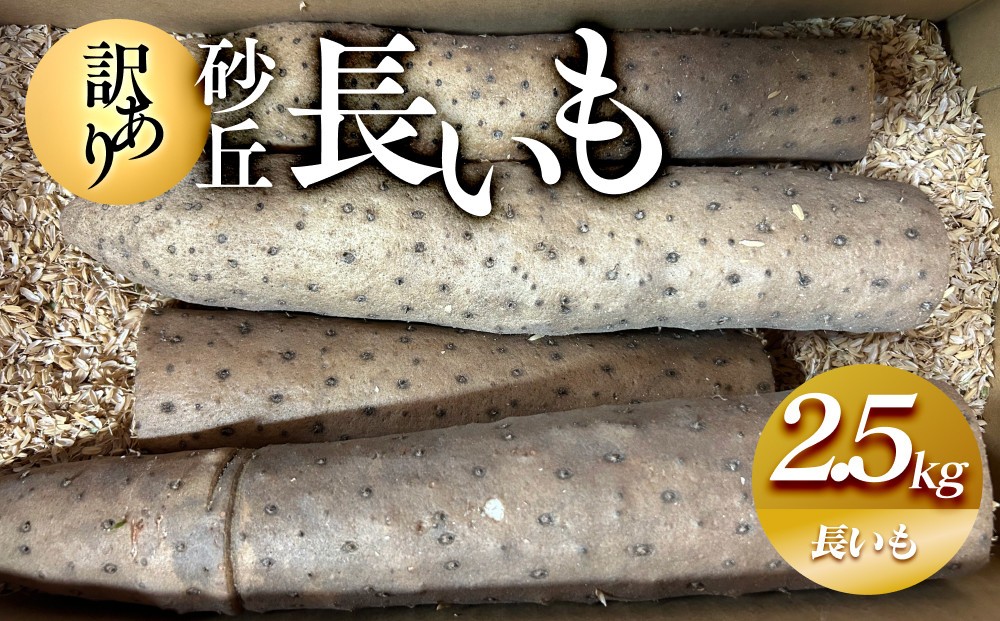 
                  【訳あり】砂丘長いも2.5kg  長芋 ながいも 鳥取県産 ※11月上旬頃～5月下旬頃に順次発送予定【野菜 やさい 根菜 とろろ 長芋 芋 いも 鳥取県 北栄町 おすすめ 人気 送料無料】
                