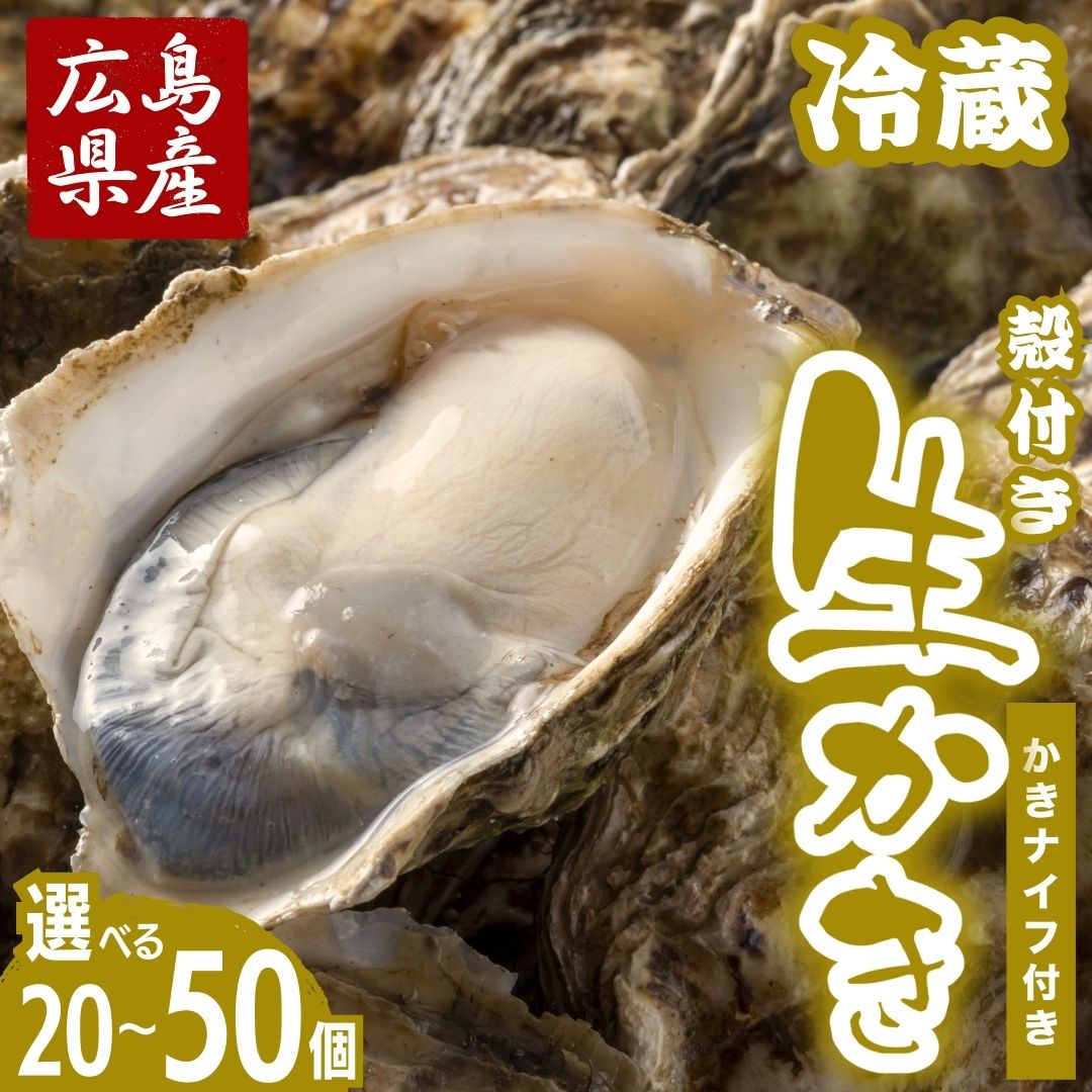 【ふるさと納税】熱を入れても縮みにくい！広島県産 生牡蠣 殻付き 500g〜2kg ハマミツ海産 選べる配送 ｜ 選べる内容量 冷蔵配送 牡蠣 生牡蠣 かき カキ オイスター 海産物 魚貝 からつき ※2026年1月中旬から順次発送 ※北海道・沖縄・離島への配送不可