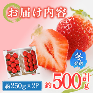 ＜先行予約受付中！2026年12月上旬以降に順次発送予定＞ 博多あまおう・冬 (計約500g) いちご 苺 フルーツ 果物 くだもの 福岡限定 家庭用 冷蔵＜離島配送不可＞【ksg1736】【農産物直