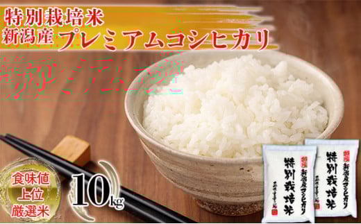 特別栽培米 新潟産コシヒカリ白米 10kg（5kg×2）