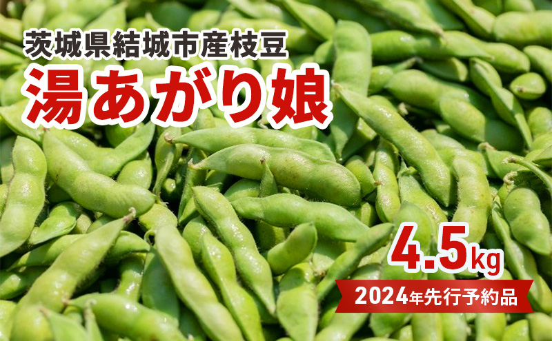 
【先行予約 茨城県結城市産枝豆「湯あがり娘」4.5kg（茶豆味） [№5802-0959]
