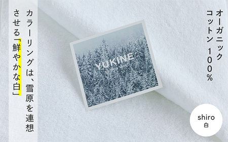 SHINTO TOWEL「ユキネ・ミニバスタオル」shiro（白）2枚セット オーガニックコットン100%