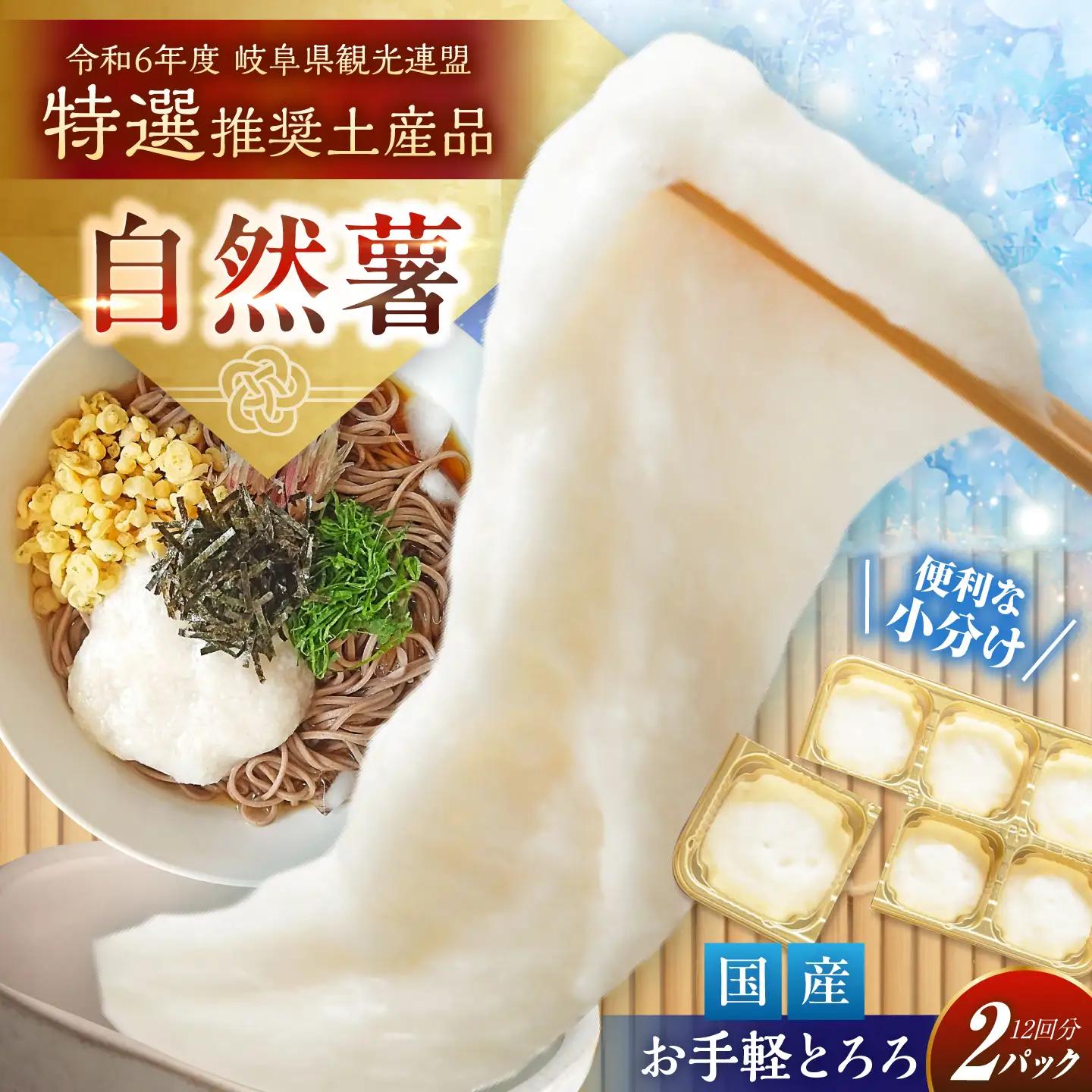 自然薯 冷凍 とろろ 2パック（計360g）/ 恵那市 / 水戸屋 [AUFZ002] とろろ