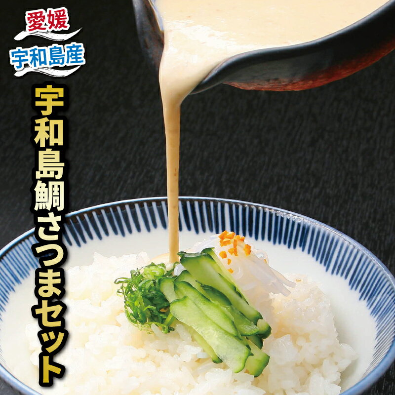 【ふるさと納税】 郷土料理 鯛 さつま セット 140g×4 和日輔 薬味付き 真鯛 まだい たい 味噌 丼 ごはん 発酵食品 麦味噌 味噌 みそ 加工品 魚介 海の幸 水産加工品 海鮮 冷凍 流水解凍 簡単調理 郷土料理 国産愛媛 宇和島 D010-091001
