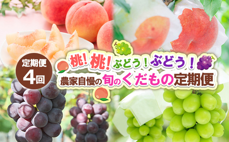 【定期便4回】桃！桃！ぶどう！ぶどう！農家自慢の旬のくだもの定期便 【令和7年産先行予約】FS24-720