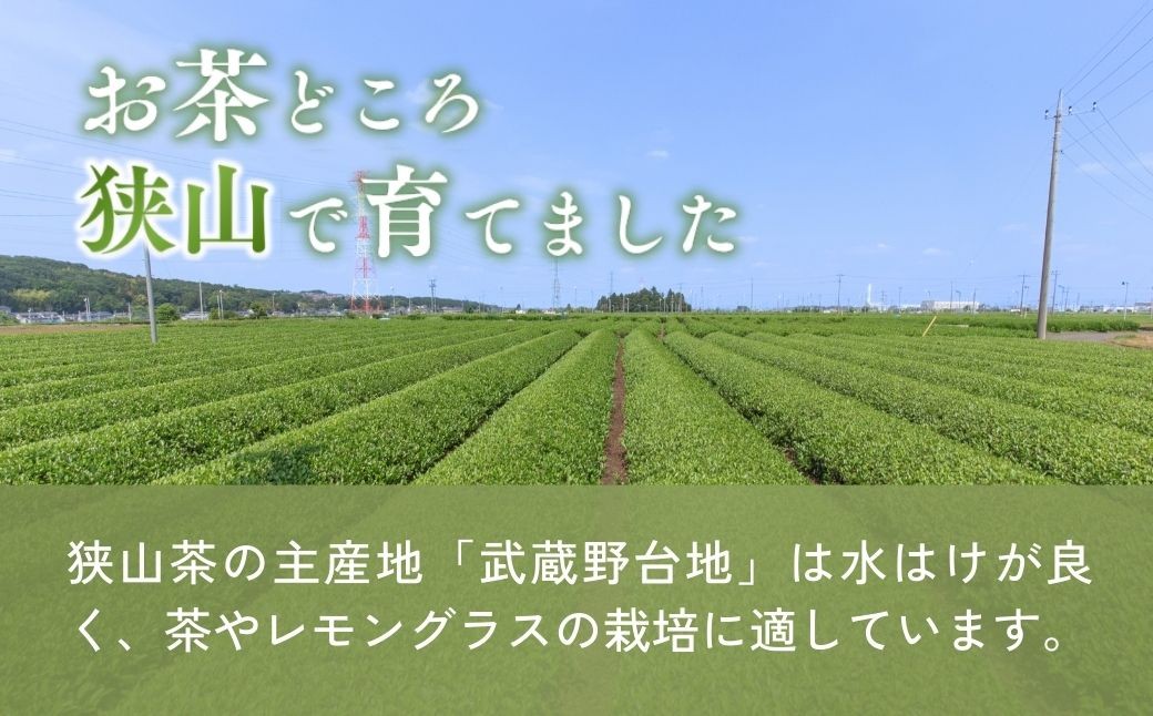 ハーブティー お茶 狭山茶 紅茶 和紅茶 ブレンドティー ティーバッグ ティーパック レモングラス ハーブ